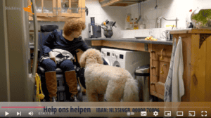 click to watch video of assistant dog